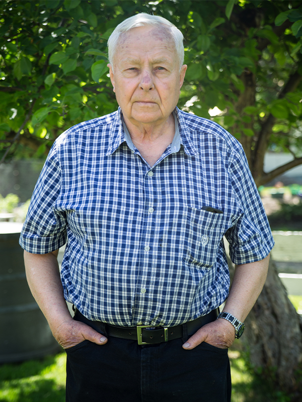 Albert Wurfel