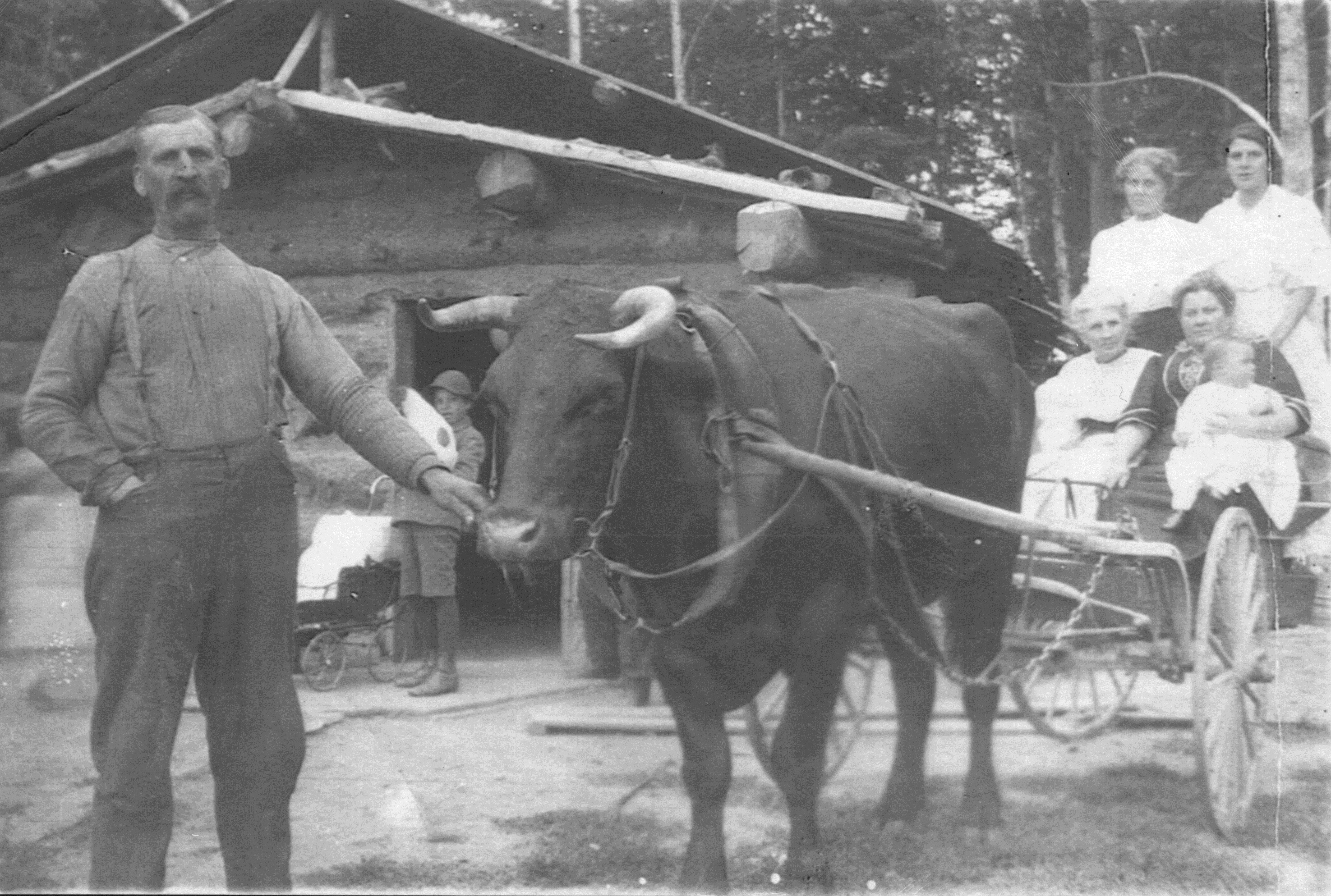 Neighbour Dexter Overholt (far left) and Nettie Goodwin (back left). Others unknown.