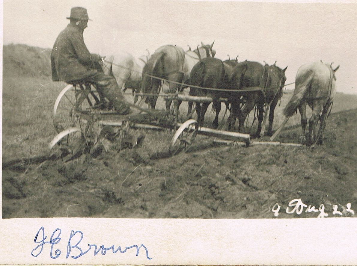 Jared Brown – Cummings district near Vermilion, Alberta, August 9, 1922 Jared Brown – Cummings district near Vermilion, Alberta, August 9, 1922
