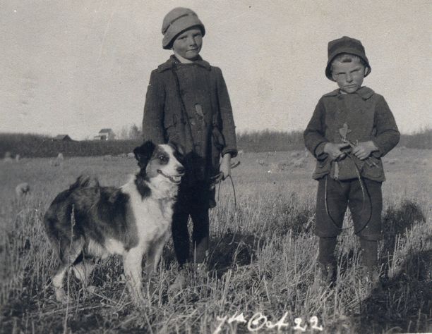 Eric and Nelson Brown – shepherding in the Cummings district near Vermilion, Alberta, October 8, 1922 (ages 6 and 4) Eric and Nelson Brown – shepherding in the Cummings district near Vermilion, Alberta, October 8, 1922 (ages 6 and 4)