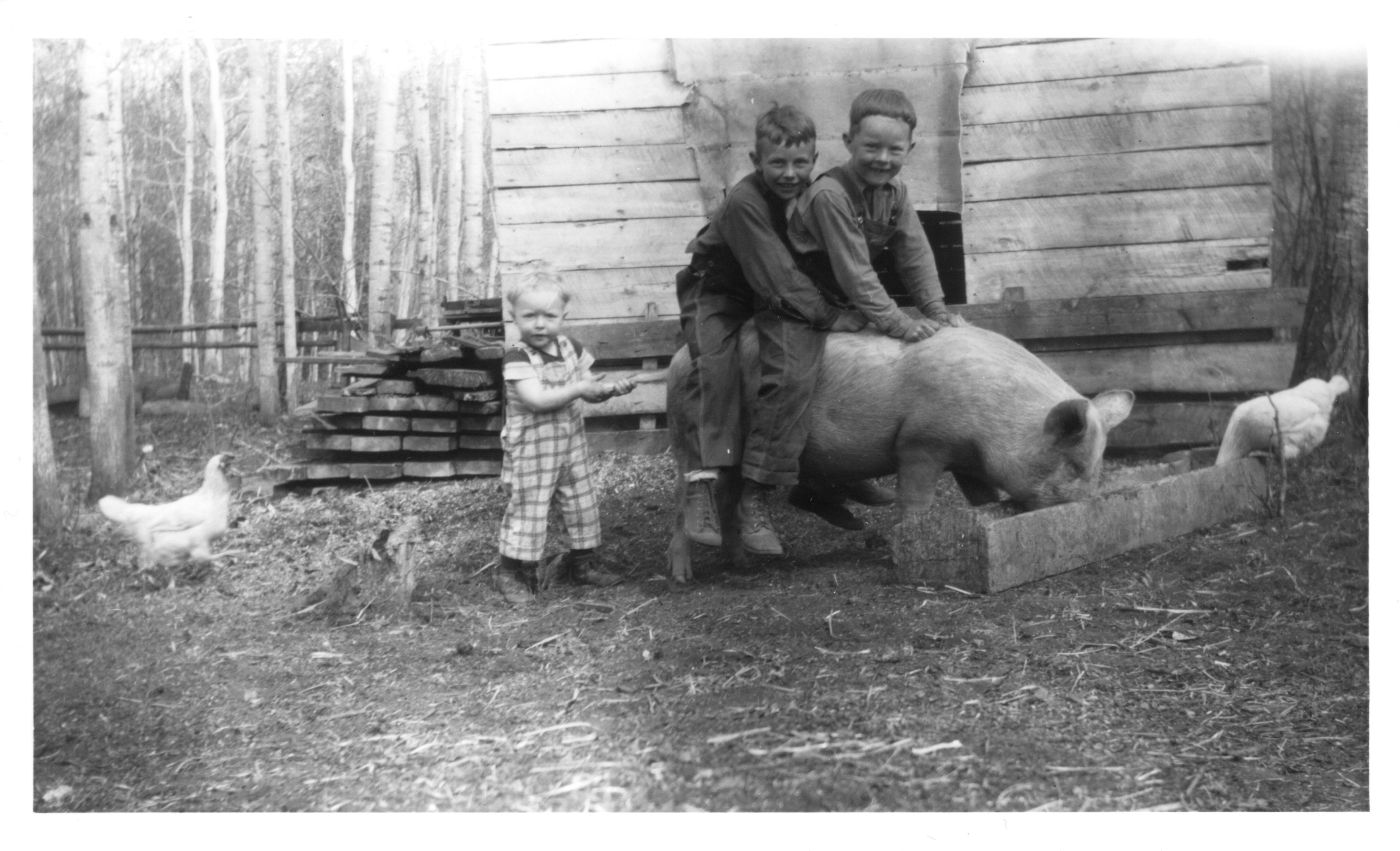 Giddy-up piggy: Philip Brown, Norman Ray and Edwin Brown – 1951 Giddy-up piggy: Philip Brown, Norman Ray and Edwin Brown – 1951