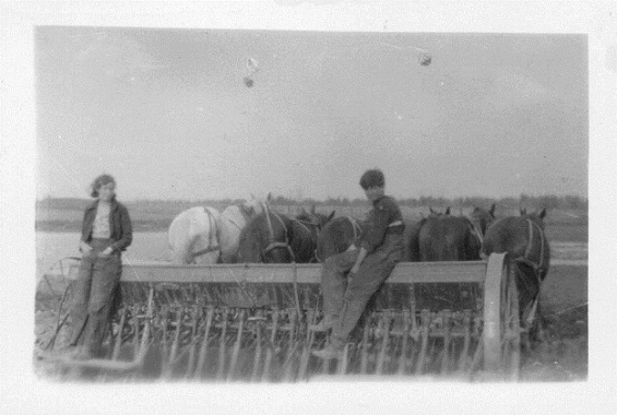 Seeding with horses. Helen's brother Aloisio on right. Circa 1940 Seeding with horses. Helen's brother Aloisio on right. Circa 1940