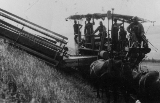 Combining with horses on Brauer farm in the State of Washington Combining with horses on Brauer farm in the State of Washington