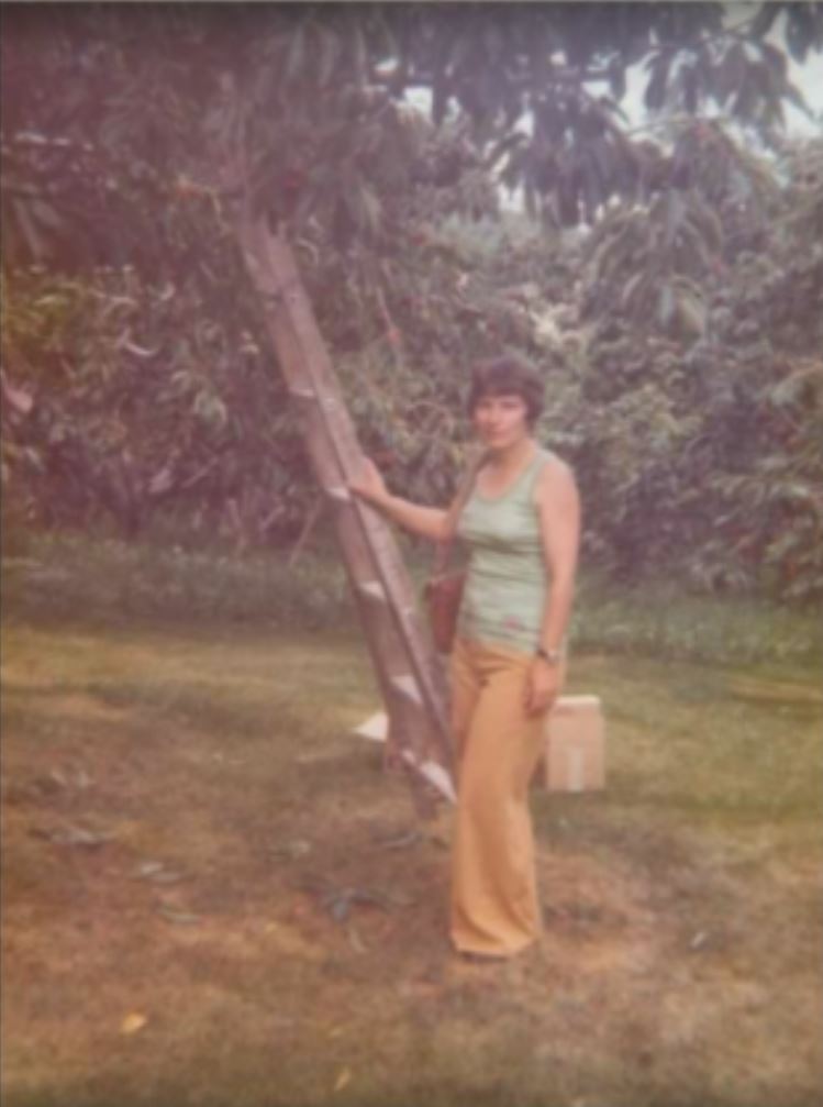 Irene picking fruit in Salmon Arm, BC. Circa 1973 Irene picking fruit in Salmon Arm, BC. Circa 1973