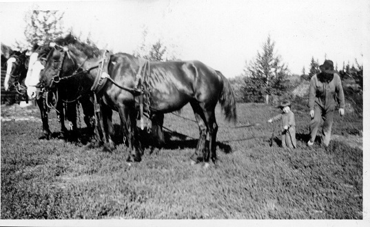 Charles Fowlie with daughter Jean (Fowlie) Golonka on farm 10 miles east of Colinton. 1929-1930. Charles Fowlie with daughter Jean (Fowlie) Golonka on farm 10 miles east of Colinton. 1929-1930.