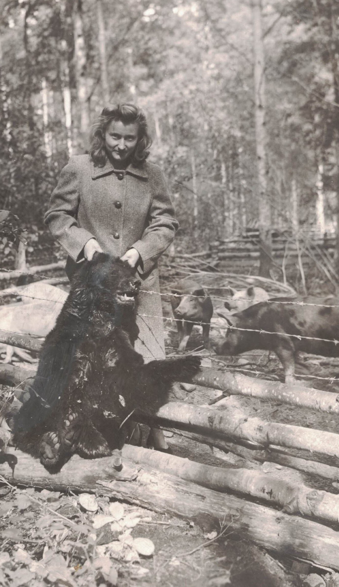 Katie shot bear in pigpen. 1945. Katie shot bear in pigpen. 1945.