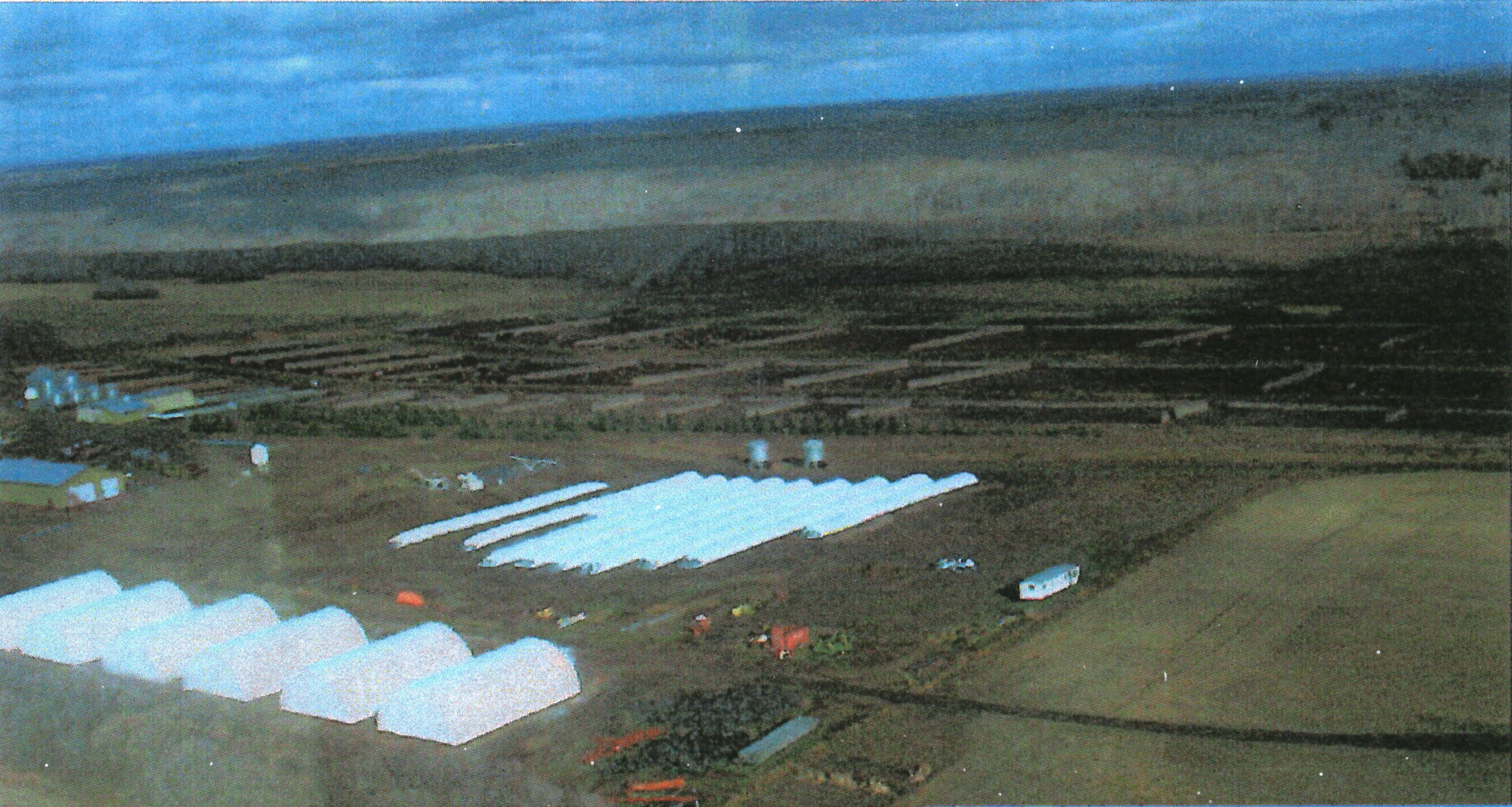 Wet grain stored in plastic. Wet grain stored in plastic.