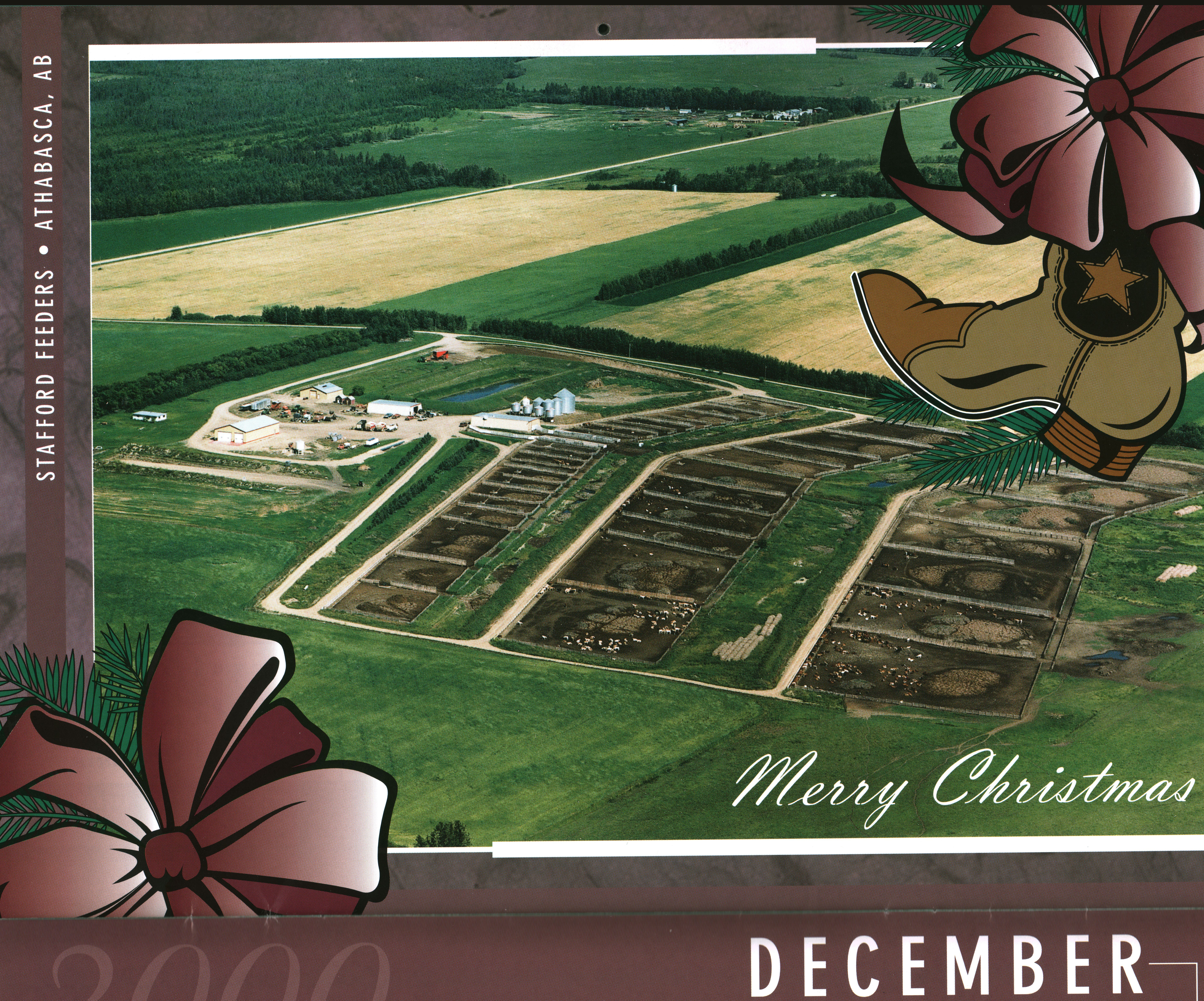 Arial photograph of feedlot. 2000. Arial photograph of feedlot. 2000.