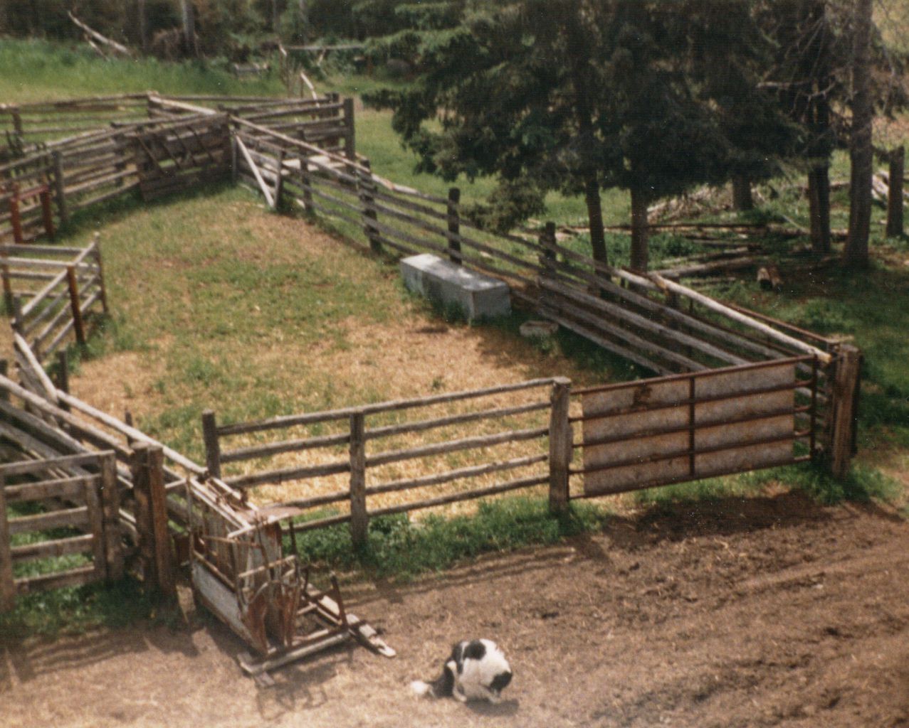 The original spruce rail and tamarack post corral built in 1973. The original spruce rail and tamarack post corral built in 1973.