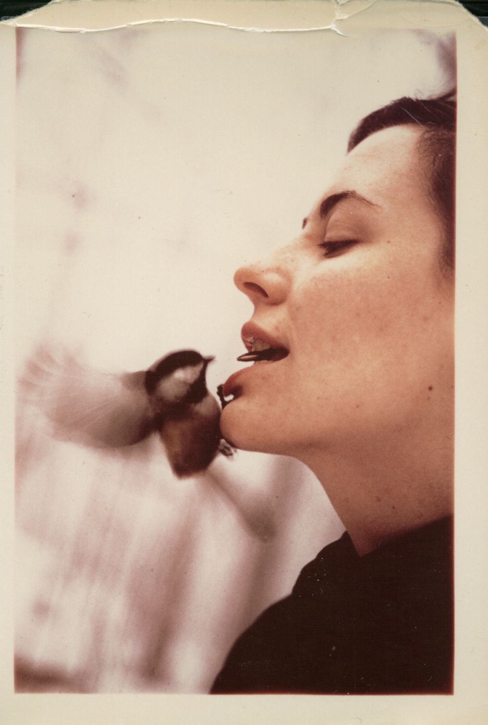 Ted's wife, Dorothy (nee Stotesbury), Gatineau Hills, Quebec. Photo appeared on the front cover of Weekend Magazine. Photo by freelance photographer Rosemary Gilliat. February 1955. Ted's wife, Dorothy (nee Stotesbury), Gatineau Hills, Quebec. Photo appeared on the front cover of Weekend Magazine. Photo by freelance photographer Rosemary Gilliat. February 1955.