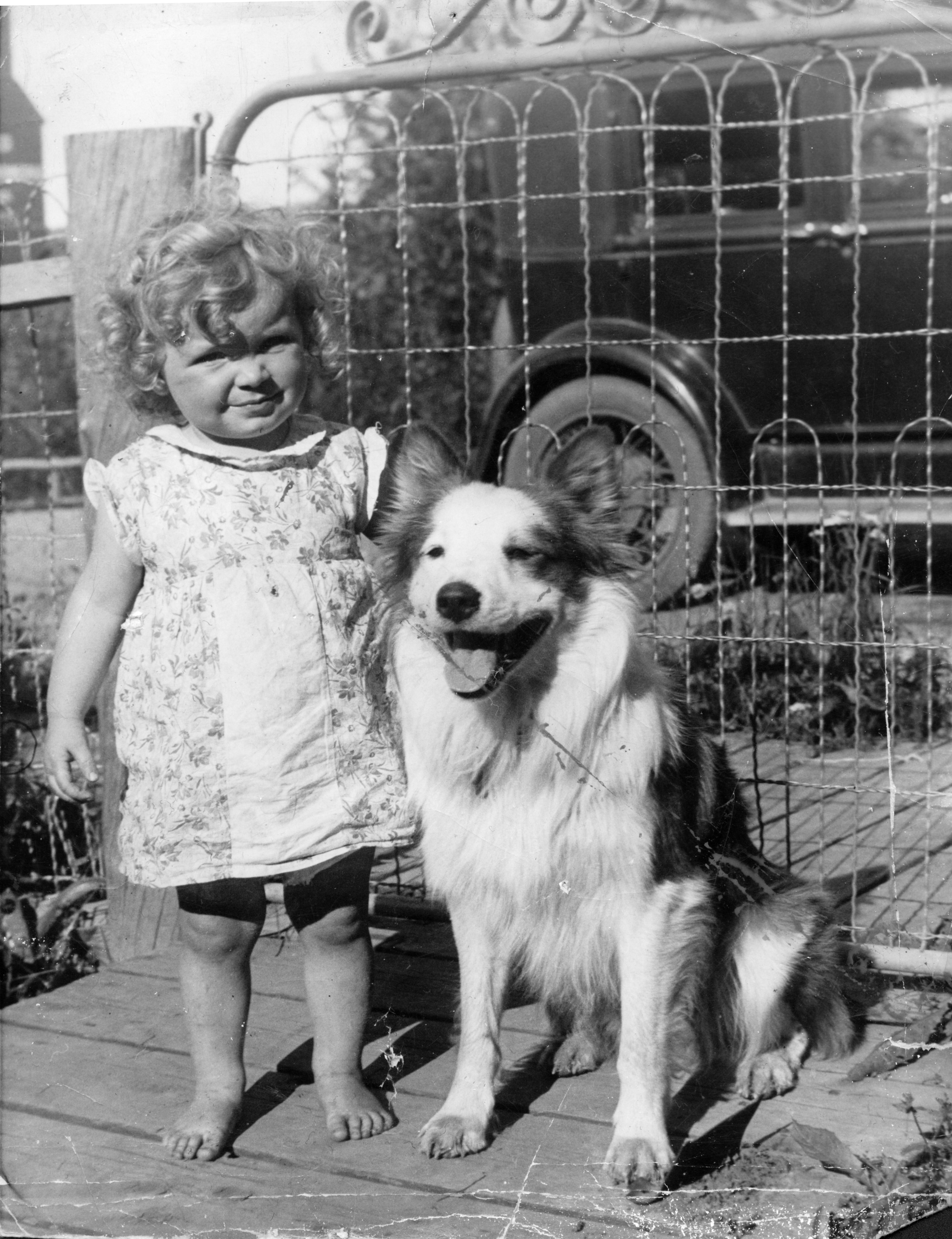 Wilma and Tinker. Athabasca. 1936 Wilma and Tinker. Athabasca. 1936