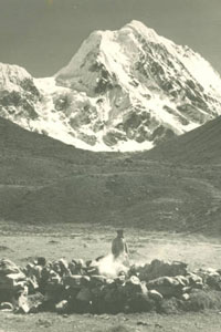 View of northern side of Mt. Chombu 6363m from the Palong valley